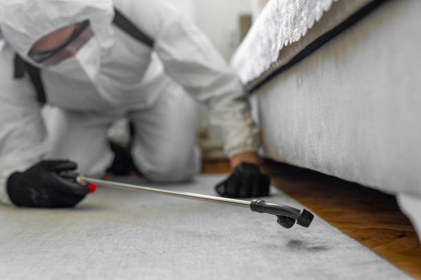 Professional Bed Bug Control technician working in Dellwood, MN