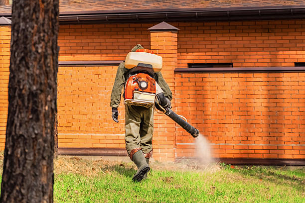 Trusted Termite Control service in Dellwood, MN - Nex Pest Control
